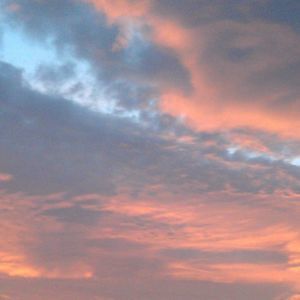 Meet your Posher, Jane